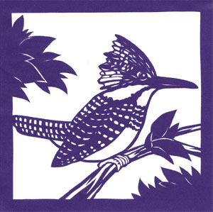 スクロール画像